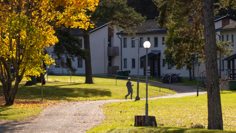 Platser kvar på svenskakurs för utrikesfödda i höst