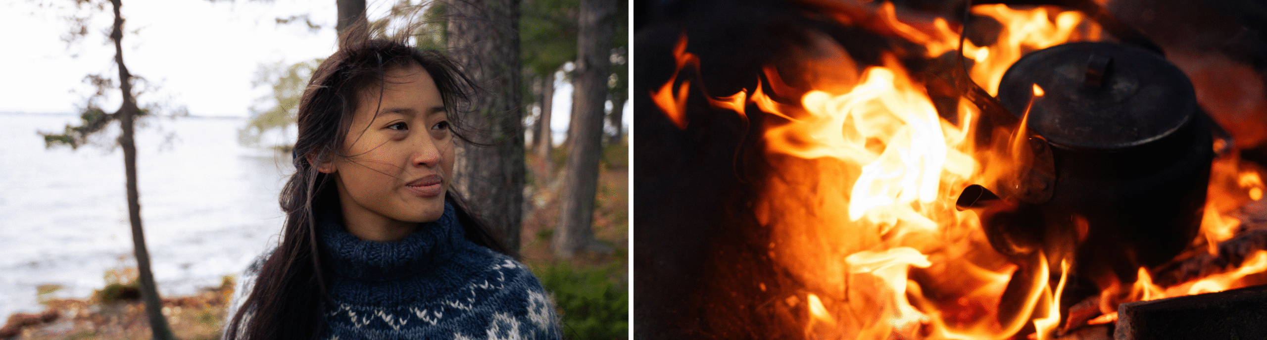 HEADER NATUREN