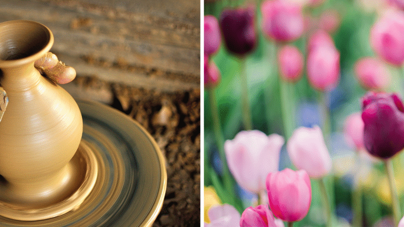 Vi presenterar vårterminens kortkurser som innehåller en spännande nyhet