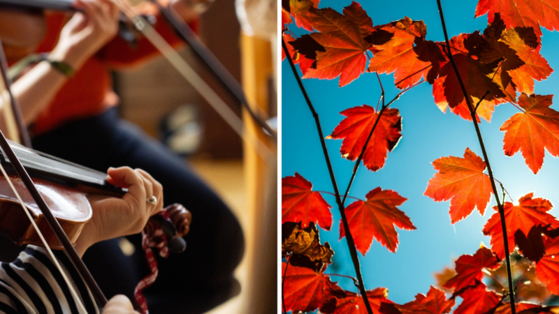 Kurshelg för folkmusikanter under Nordic Soundscapes i Storlien 18-20 september