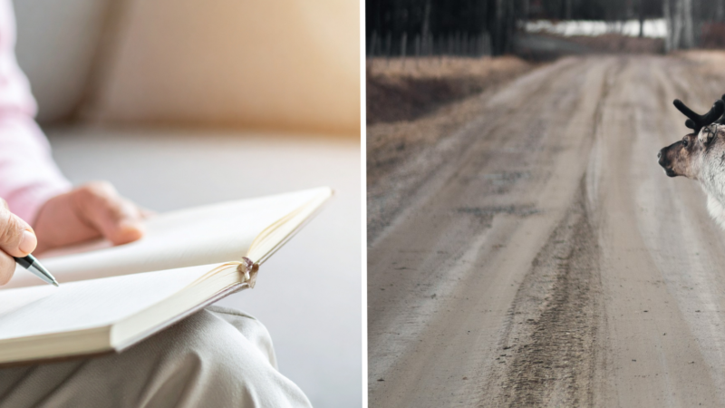 Vi lanserar höstterminens kortkurser med en spännande nyhet i utbudet