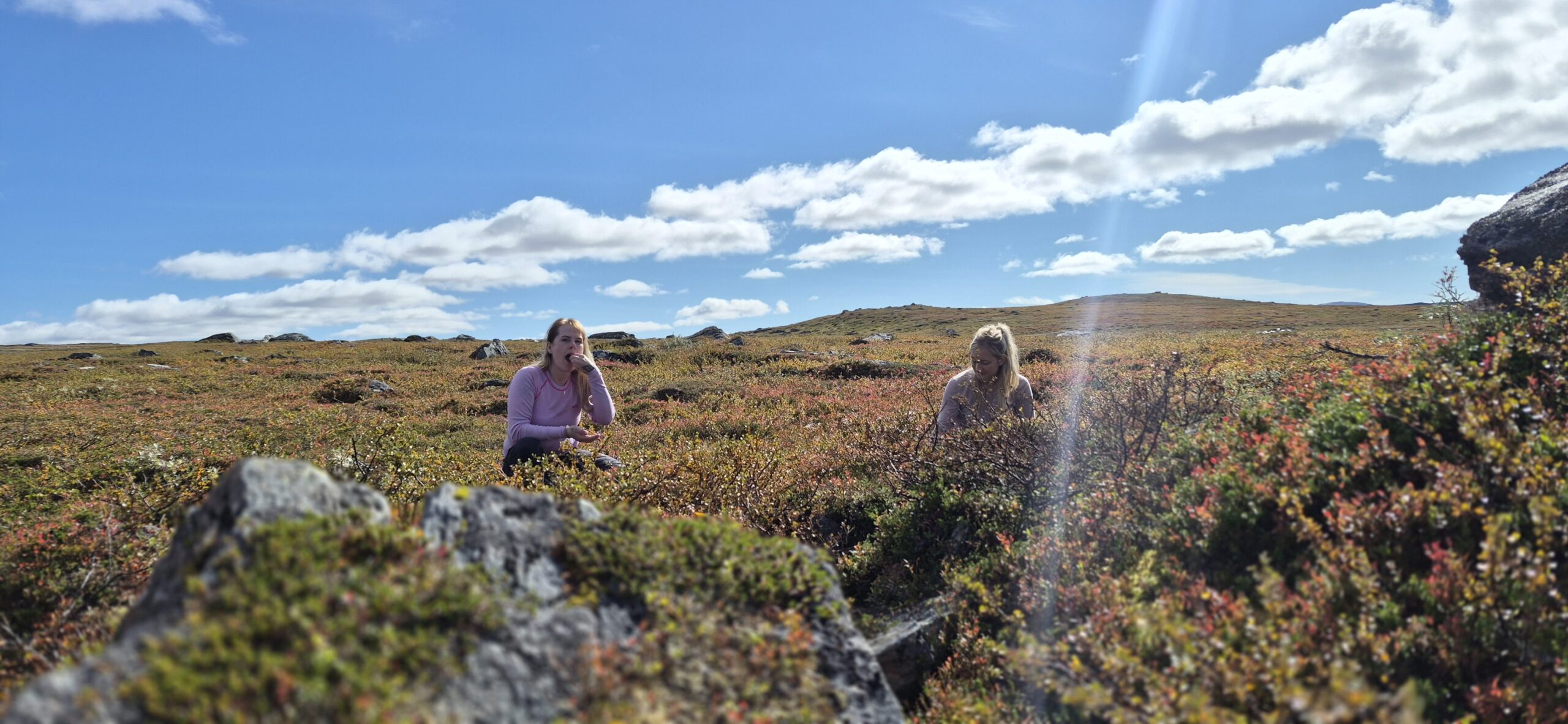 Deltagare äter bär på fjället.